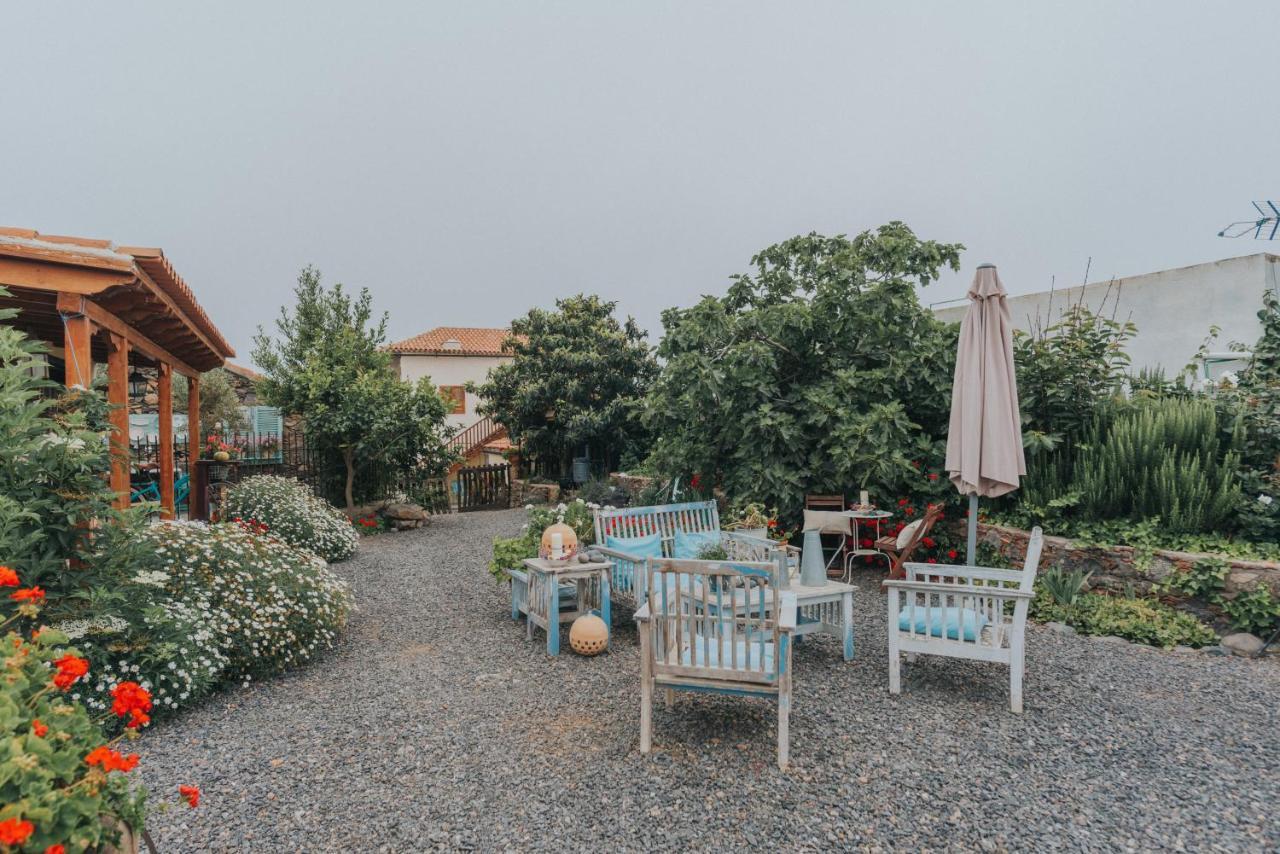 Casa Jacinta Con Jacuzzi Guest House Costa Adeje  ภายนอก รูปภาพ