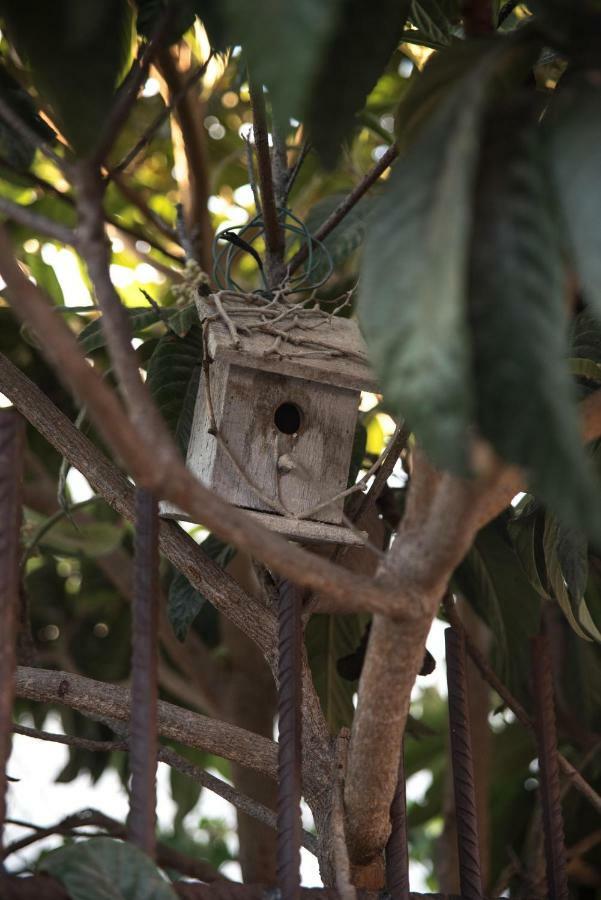 Casa Jacinta Con Jacuzzi Guest House Costa Adeje  ภายนอก รูปภาพ